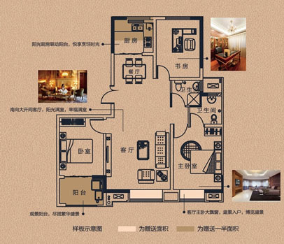 盐城奥体玫瑰园
