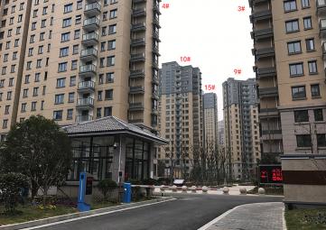实景图