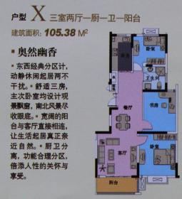 户型X