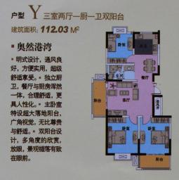 户型Y