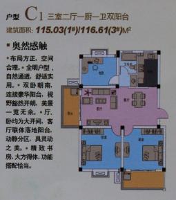 户型C